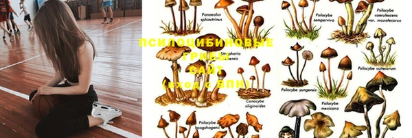 дурь Краснослободск